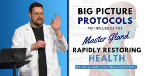 Big Picture Protocols To Influence The Master Gland Rapidly Restoring Health